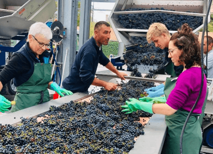 Chateau Gloria Team Chateau Gloria Team