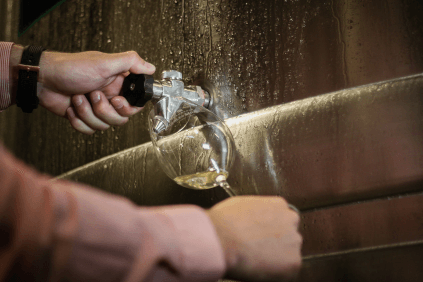 Die Weine werden während der Vinifikation regelmäßig kontrolliert Die Weine werden während der Vinifikation regelmäßig kontrolliert