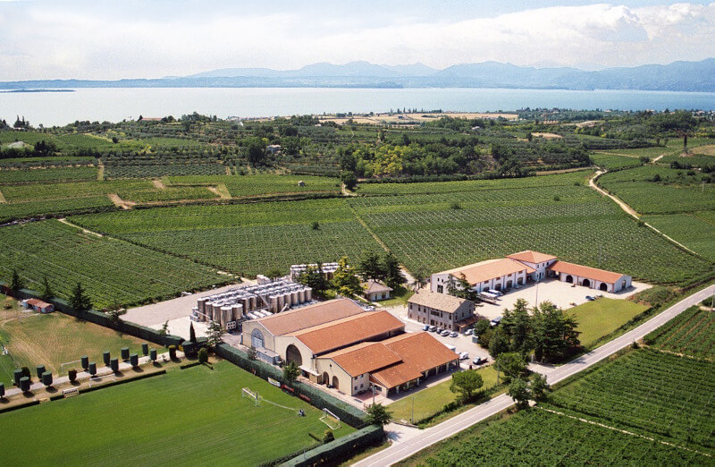 vinícola-delibori-vinha