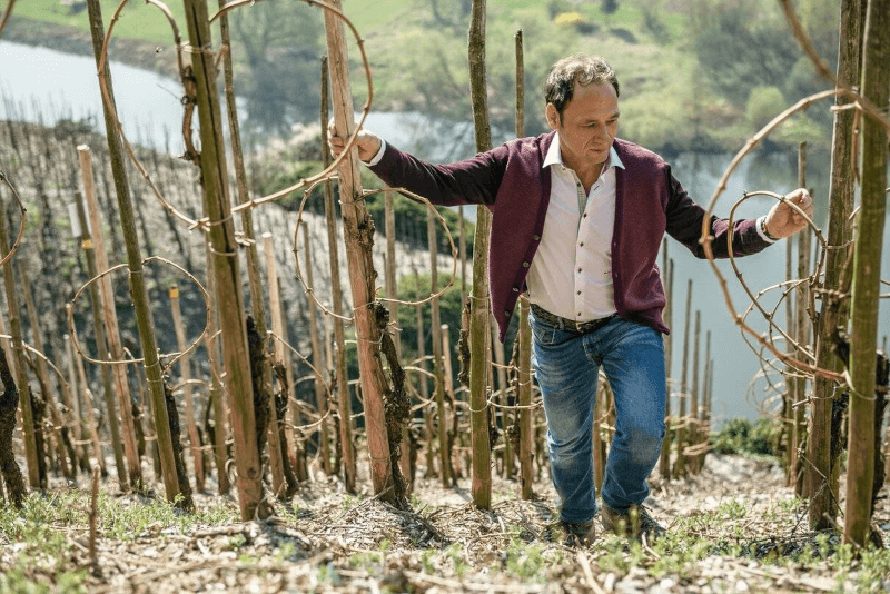 Markus Molitor in seinen Weinbergen