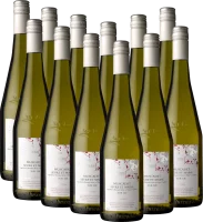 12er Vorteilspaket Muscadet Sur Lie Sèvre et Maine AOC - Domaine des Railleres