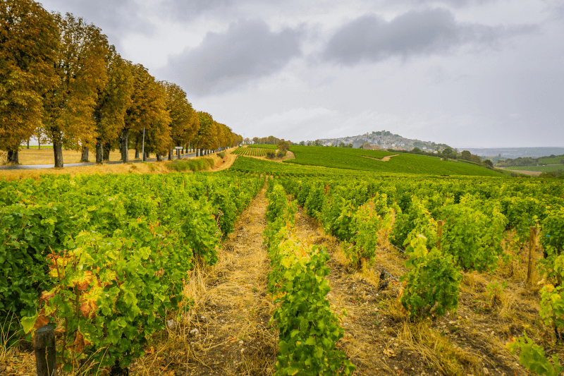 Region um Sancerre Region um Sancerre