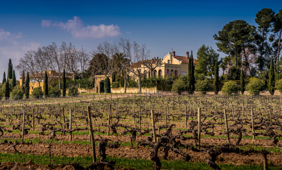 Torres Finca Mas La Plana
