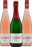 Vorschau: 6er Probierpaket - Weine vom Weingut Allendorf