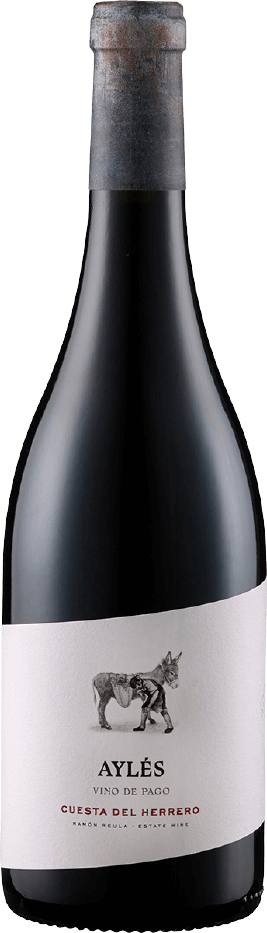 Vorschau: 6x Probierpaket - Decanter-prämierte Weine aus aller Welt