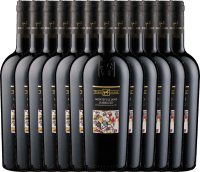 12er Vorteilspaket - Montepulciano d'Abruzzo DOC - Tenuta Ulisse