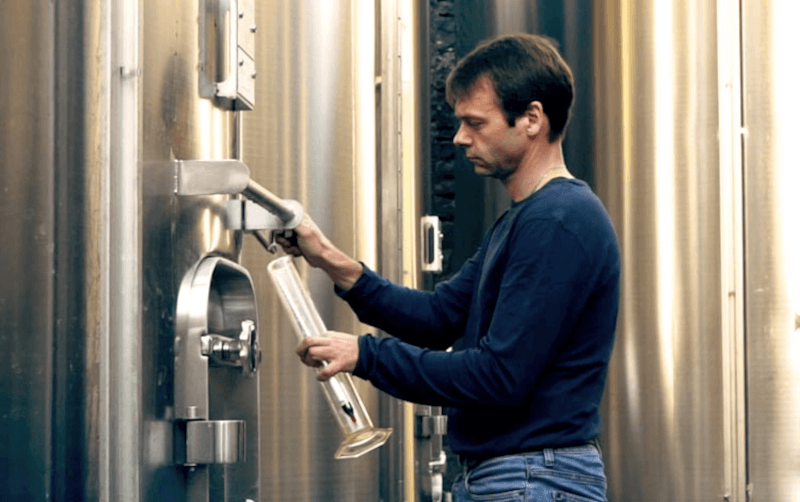 Pierre Vaudon, mestre de adega e diretor-geral