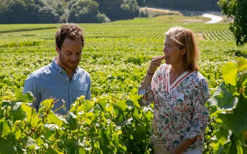 weingut-Champagne_Virginie-weinberg-1-1