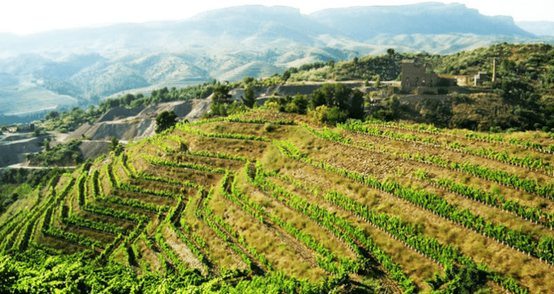 Blick über die Terrassenberge Blick über die Terrassenberge