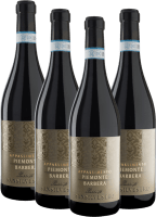San Silvestro Appassimento Passito Piemonte Barbera DOC - Sartirano 4er Vorteilspaket