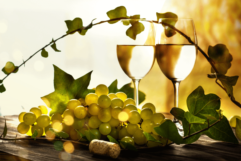 Sauvignon Blanc no copo