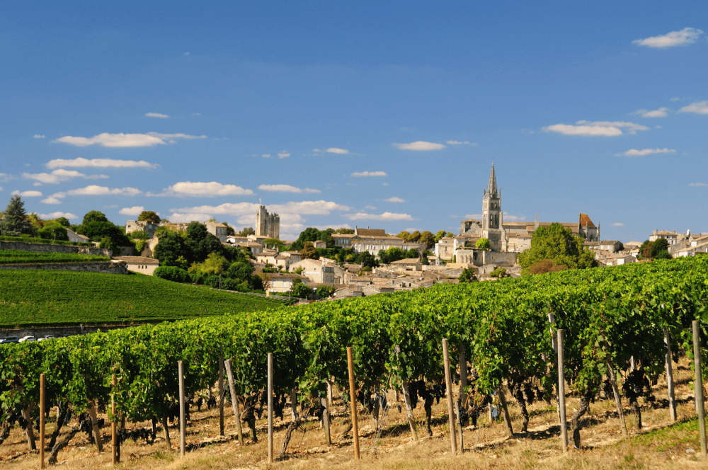 Weinberge in Saint Emilion
