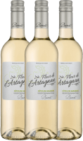 Vorschau: 3er Vorteils-Weinpaket - Fleur de d'Artagnan Blanc - Plaimont