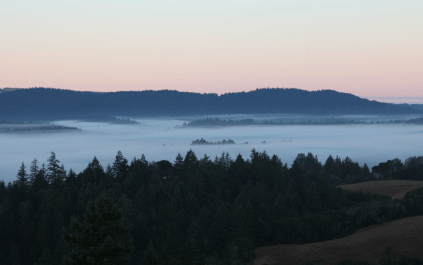 Nebel über dem Anderson Valley Nebel über dem Anderson Valley