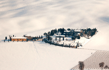 Weingut-im-Winter Weingut-im-Winter