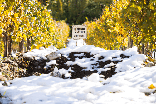 A localização dos Adrianna Vineyards A localização dos Adrianna Vineyards