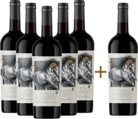 5+1 Vorteils-Weinpaket Fuerza Jumilla - Ego Bodegas