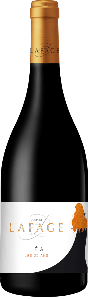 Vorschau: 6er Probierpaket - Herbstliche Rotweine aus Frankreich