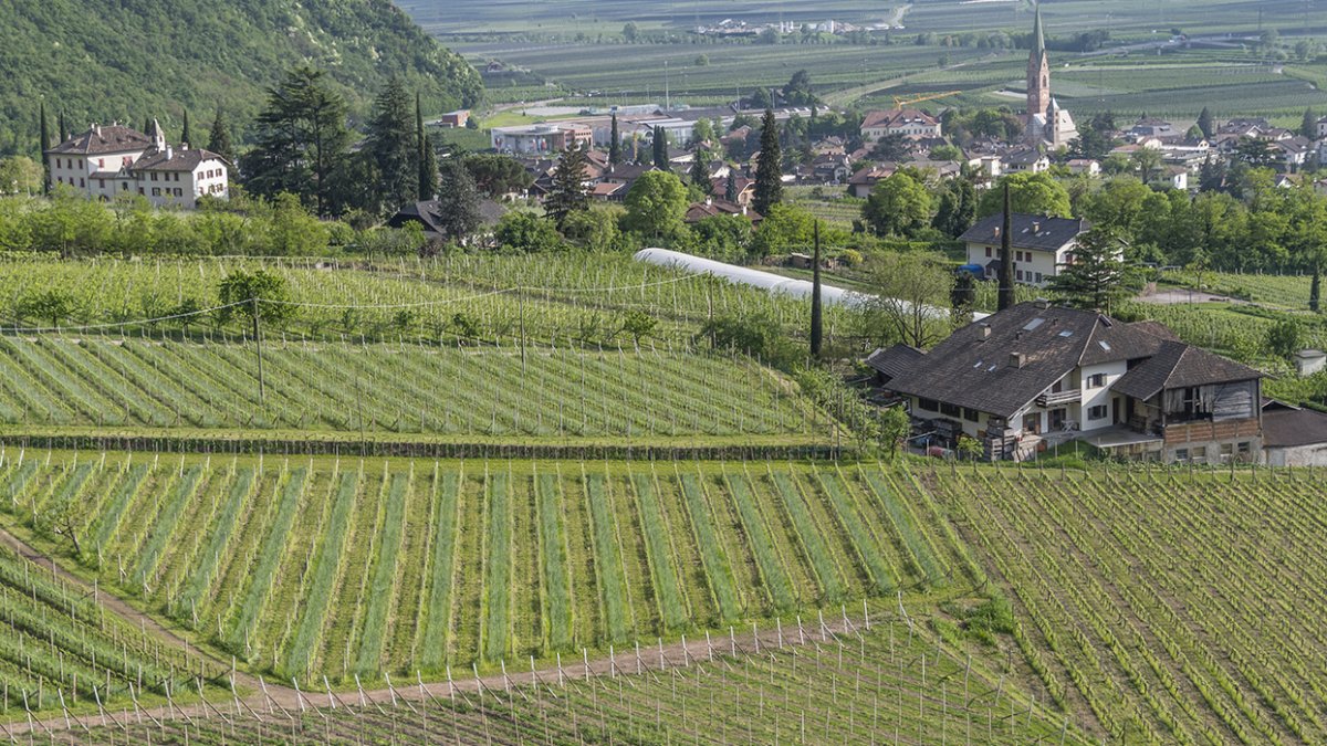 Terlan no Tirol do Sul