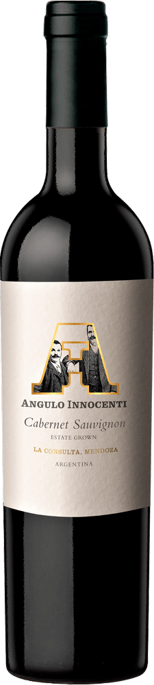 Vorschau: Tesouros do vinho escondidos da Argentina da VINELLO - Pacote de descoberta com 6 garrafas