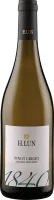 Pinot Grigio DOC - H. Lun