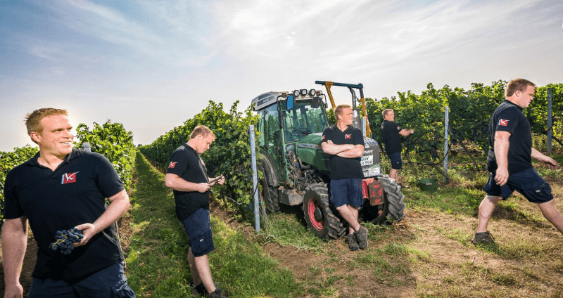 Vitivinicultura Kesselring - Lukas na vinha
