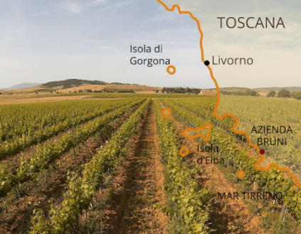 Azienda Agricola Bruni Region