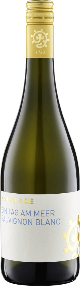 Vorschau: Ein Tag am Meer Sauvignon blanc seco - Weingut lampulo - 6x pacote degustação