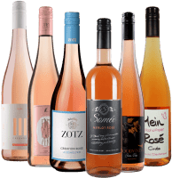 Prazer rosé sem álcool - pack de degustação 6x