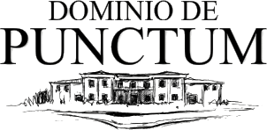 Dominio de Punctum