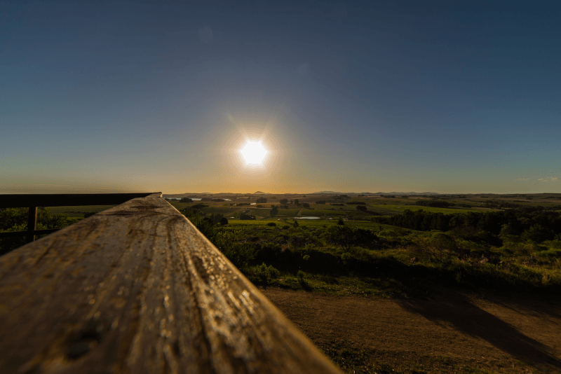 Pôr do sol sobre vinhedos no Uruguai