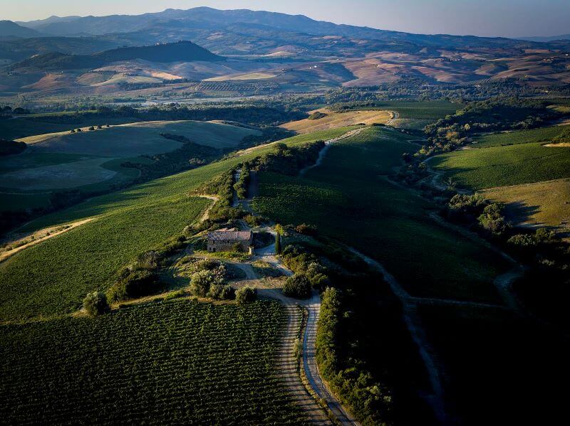 Casanova di Neri Weinberg