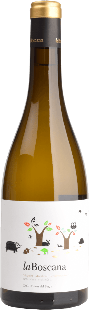 Vorschau: 6x Probierpaket - Weine aus Katalonien - mehr als Cava