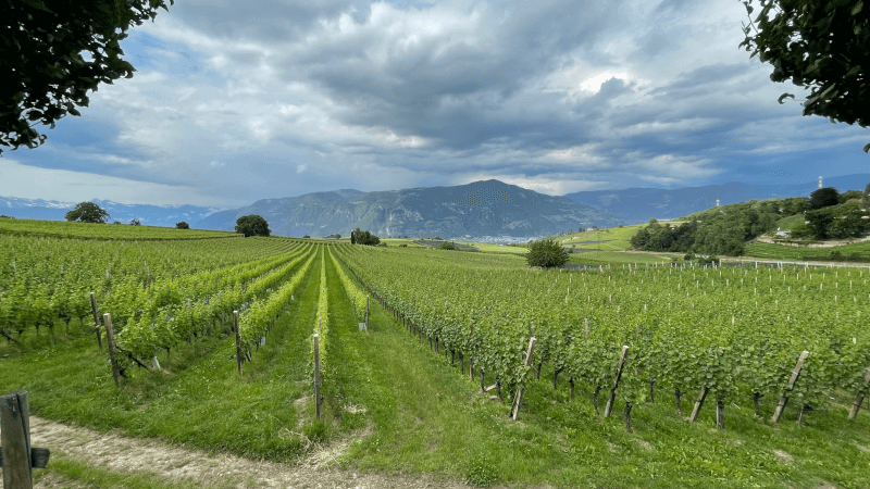 Schreckbichl no Tirol do Sul