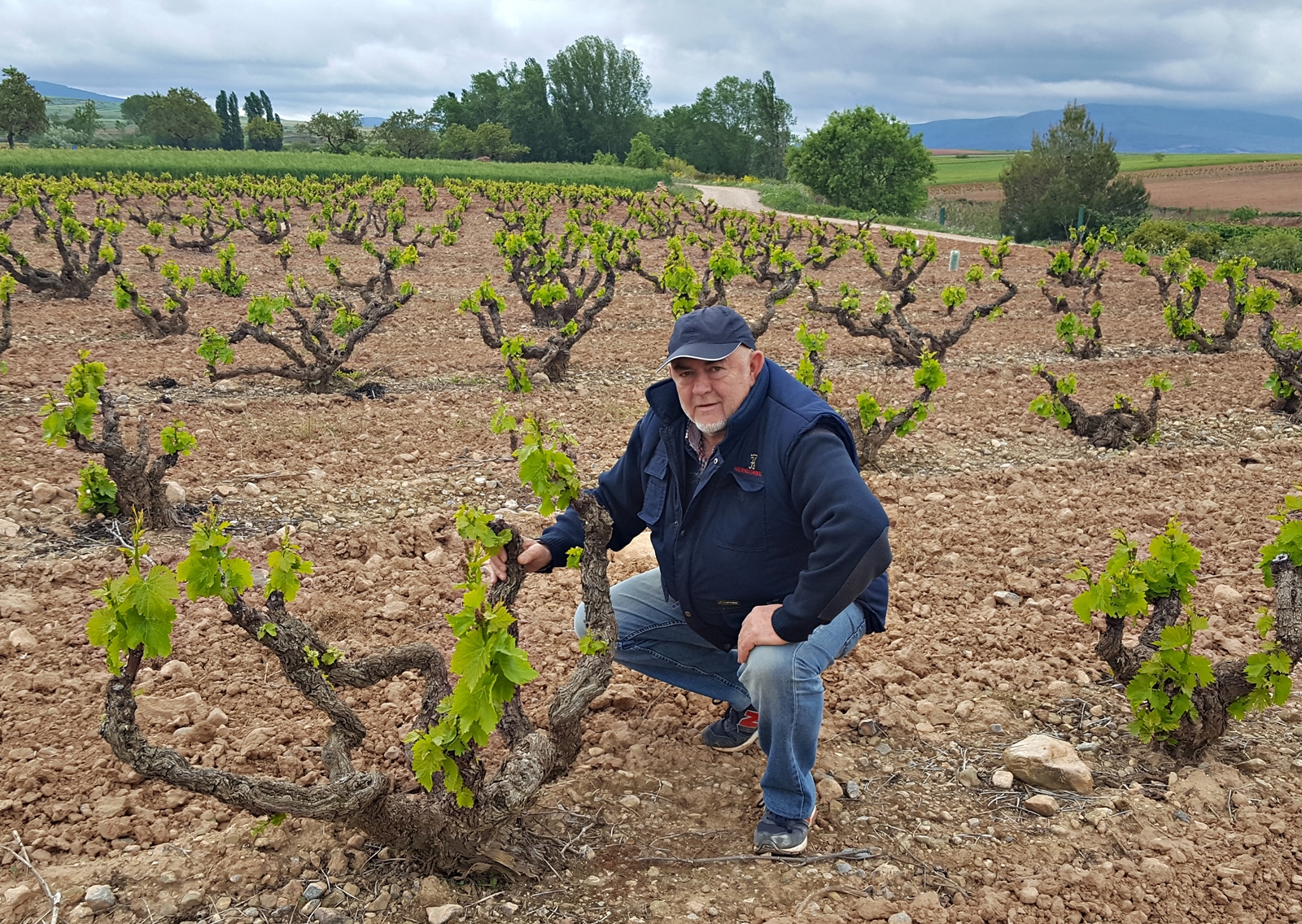 Francisco Olivàn da Hacienda Grimón