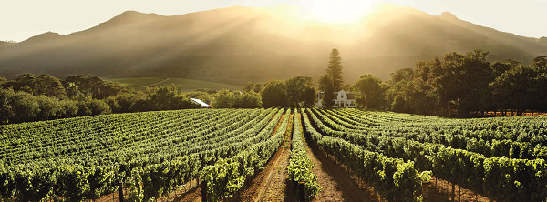 Buitenverwachting no Cabo da Boa Esperança