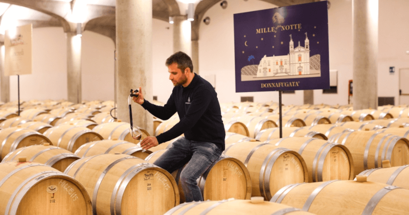 Barriques Donnafugata Barriques Donnafugata