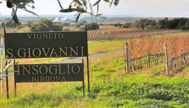 Tenuta Campo di Sasso Biserno Tenuta Campo di Sasso Biserno