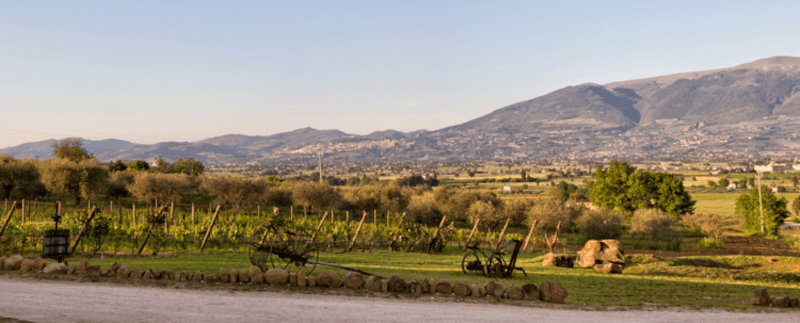 Panorama der Gegend des Weinguts Di Filippo Panorama der Gegend des Weinguts Di Filippo