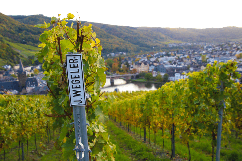 Wegeler Doctor Weinberg