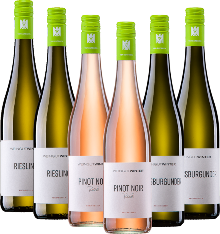 O trio de primavera da vinícola Winter - pack de degustação 6x