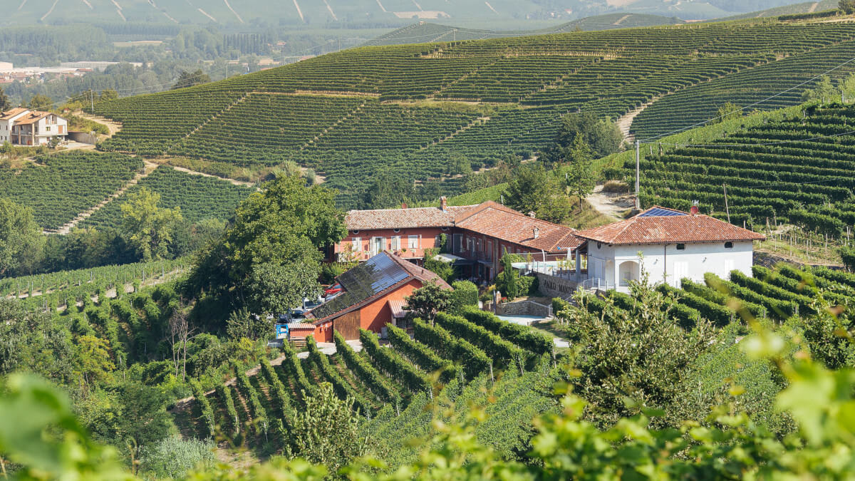 Weingut Manzone - Panorama
