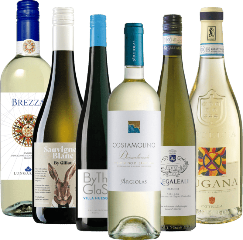 Um toque de férias no terraço – Pacote de degustação de 6 queijos brancos