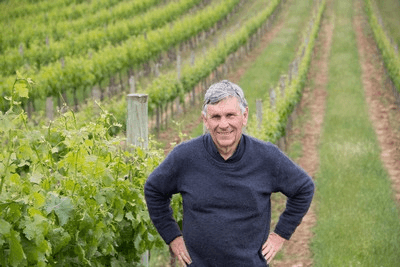 Mark Lloyd nas suas vinhas