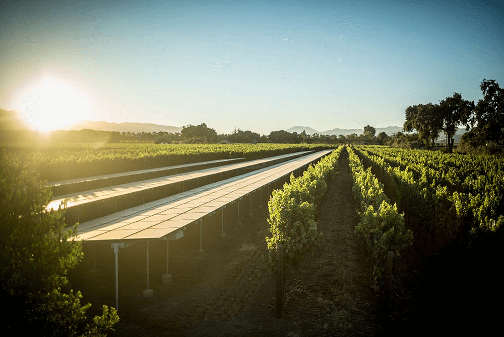 Sonnenkollektoren inmitten Oakville Estate