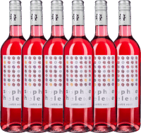 6er Vorteils-Weinpaket - Sophie Helene petit Rosé - Weingut Hammel