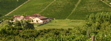 Campè da La Spinetta Campè da La Spinetta