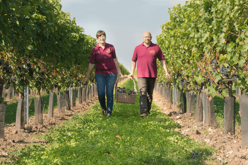 Birgit und Robert Goldenits im Weinberg