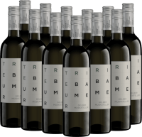 Gelber Muskateller - Triebaumer - 12x Vorteilspaket