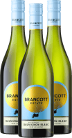 3er Vorteilspaket - Sauvignon Blanc Marlborough - Brancott Estate